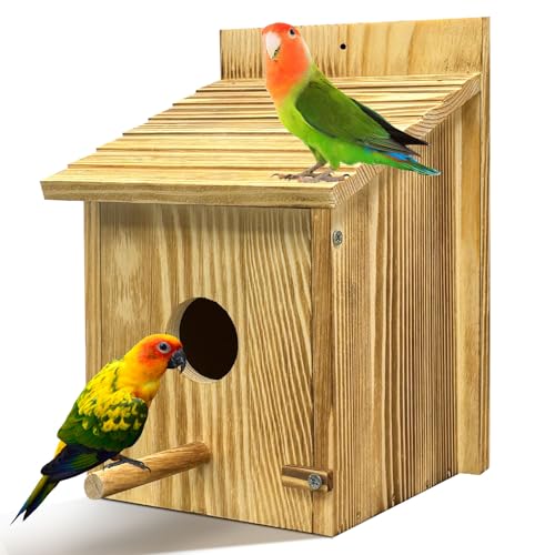 Vogelhaus für Gartenbox UK mit abnehmbarer Sitzstange zum Aufhängen an der Außenseite aus Holz, offene Vorderseite, Nistkästen Spatzen, Rotkehlchen, freistehend zum Beobachten (Holz-C, Einheitsgröße C Vogelhaus für Gartenbox UK mit abnehmbarer Sitzstange zum Aufhängen an der Außenseite aus Holz, offene Vorderseite, Nistkästen Spatzen, Rotkehlchen, freistehend zum Beobachten (Holz-C, Einheitsgröße C von Pcuntslo