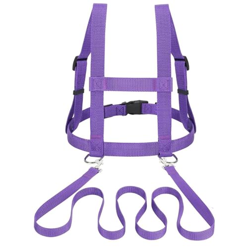 Pferdeleine Kinder, Pferdeleine Zum Spielen Für Kinder, Lila Pferdegeschirr Kinder, Größenverstellbar 45-80 cm, Für Rollenspiele Und Outdoor-Aktivitäten Pferdeleine Kinder, Pferdeleine Zum Spielen Für Kinder, Lila Pferdegeschirr Kinder, Größenverstellbar 45-80 cm, Für Rollenspiele Und Outdoor-Aktivitäten von PcvGef