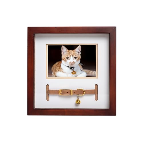 Pearhead Pet Collar Keepsake Frame - Dual Display Memorial Keepsake for Cat & Dog Collars, Wall Mount or Tabletop, Ideal Gift and Home Decor for Pet Owners, Espresso von Pearhead