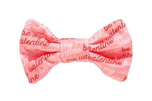 Pearhead Be My Valentine Pet Bow Tie, Valentine’s Day Slide-On Dog Accessories, Dog or Cat Apparel, Pet Accessory, M/L von Pearhead