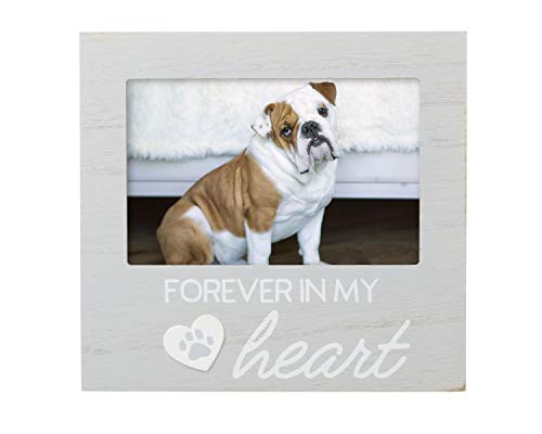 Pearhead Pet Forever In My Heart Gedenk-Bilderrahmen, Andenken für Hunde und Katzen, Heimdekoration oder Beileidsgeschenk für Tierliebhaber, Herz- und Pfotenabdruck-Design, 10 x 15 cm, Grau von Pearhead