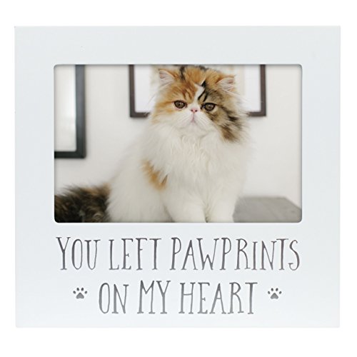 Pearhead You Left Pawprints on My Heart Pet Andenken-Bilderrahmen Hund oder Katze Fotorahmen für Haustierbesitzer, Haustier-Gedenkrahmen, 10 x 15 cm, Beileidsgeschenk, Weiß Pearhead You Left Pawprints on My Heart Pet Andenken-Bilderrahmen Hund oder Katze Fotorahmen für Haustierbesitzer, Haustier-Gedenkrahmen, 10 x 15 cm, Beileidsgeschenk, Weiß von Pearhead