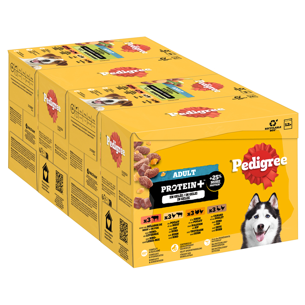 Pedigree Adult Frischebeutel Protein Plus in Gelee - 12 x 85 g (4 Varietäten) von Pedigree