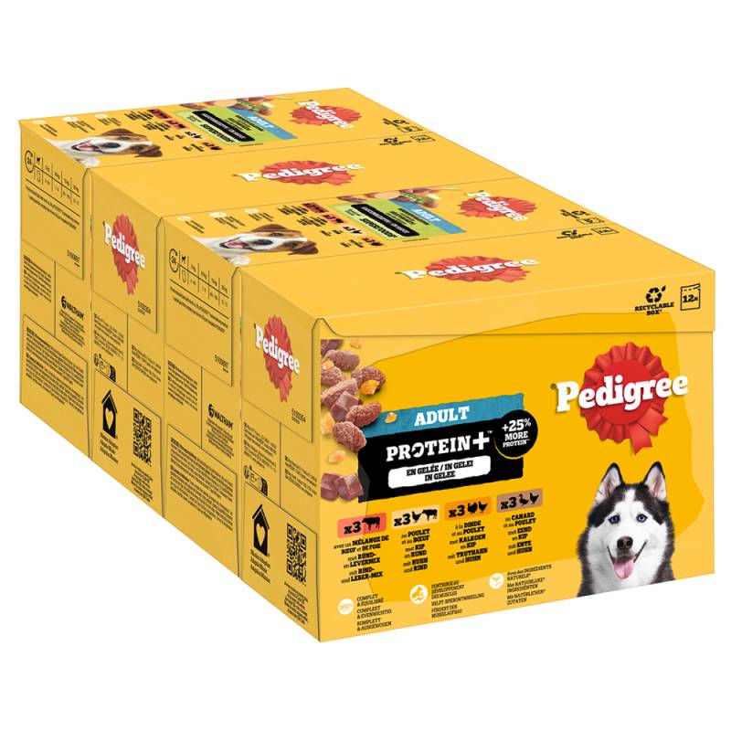 Pedigree Adult Frischebeutel Protein Plus in Gelee - Sparpaket: 48 x 85 g (4 Varietäten) von Pedigree