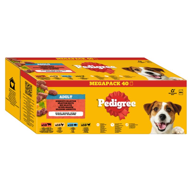 Pedigree Frischebeutel 40 x 100 g - Gemischte Selektion in Gelee (4 Varietäten) von Pedigree