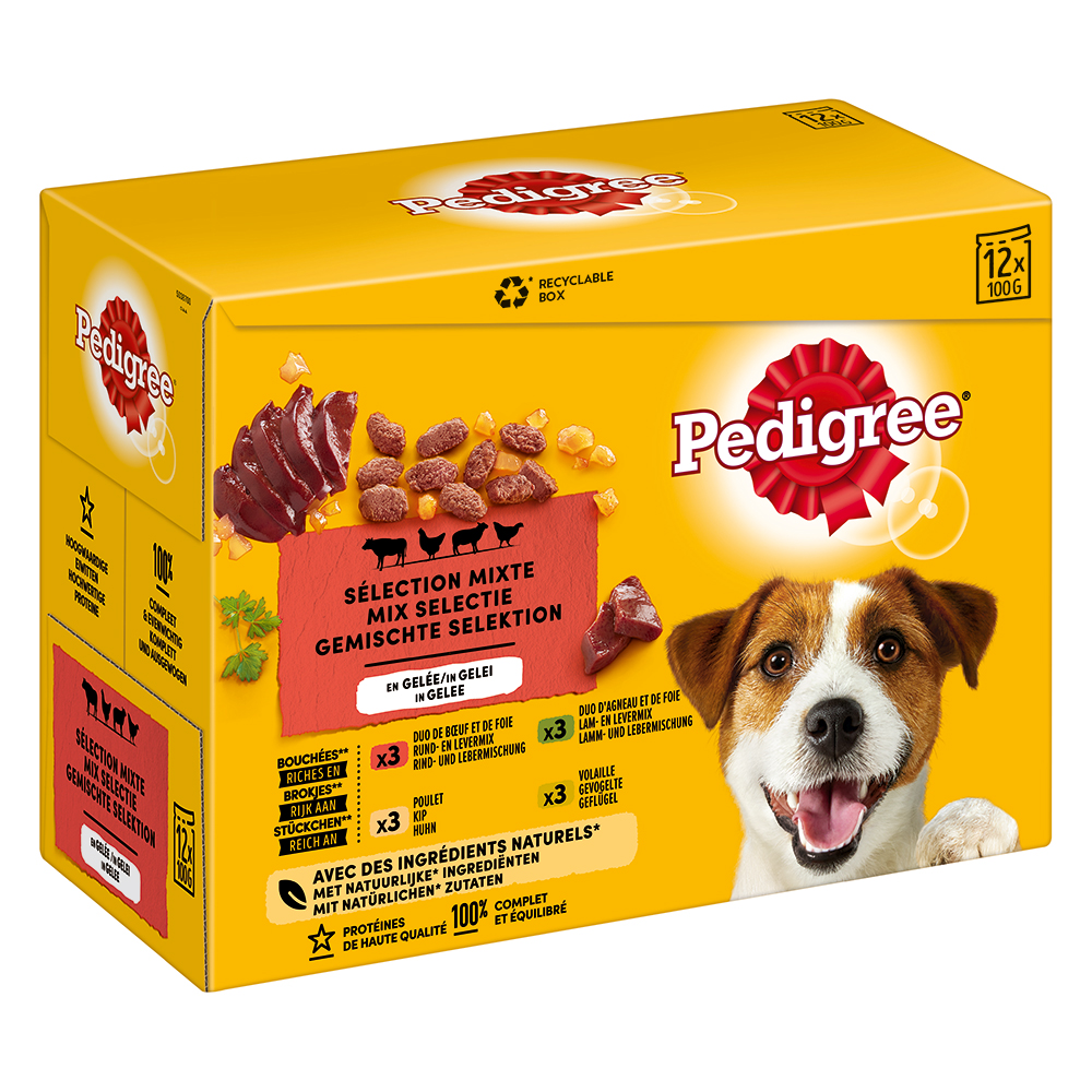Pedigree Frischebeutel Multipack Nassfutter für Hunde - 12 x 100 g in Gelee von Pedigree