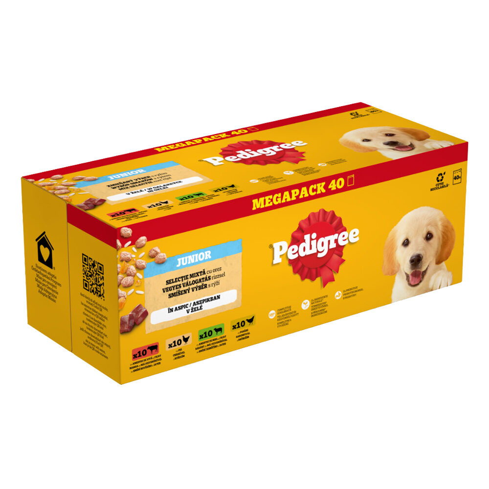 Pedigree Junior Auswahl in Gelee Frischebeuteln - 40 x 100 g von Pedigree