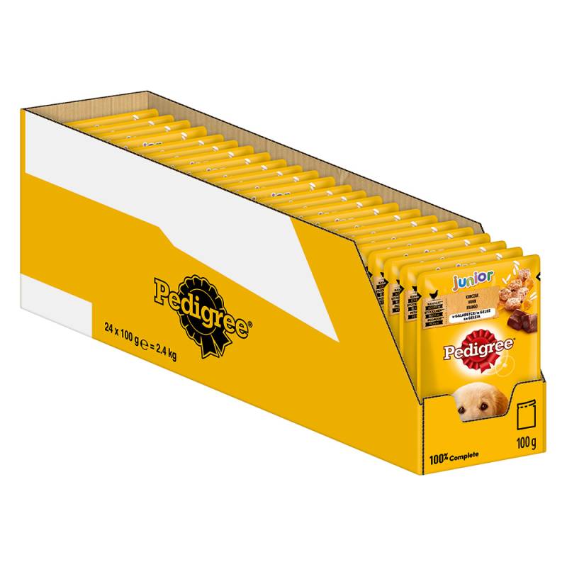 Pedigree Junior Frischebeutel Multipack - Sparpaket: 48 x 100 g Huhn in Gelee von Pedigree