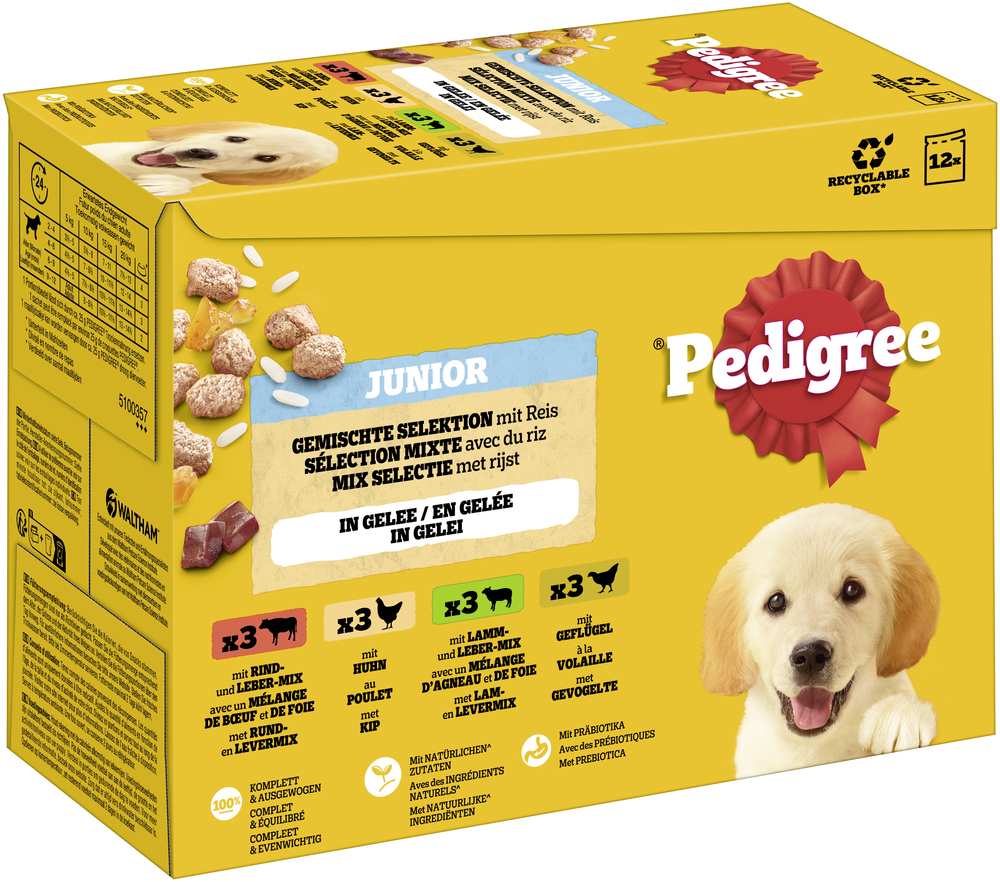 Pedigree Junior Frischebeutel Multipack - 96 x 100 g Gemischte Selektion in Gelee (4 Varietäten) von Pedigree