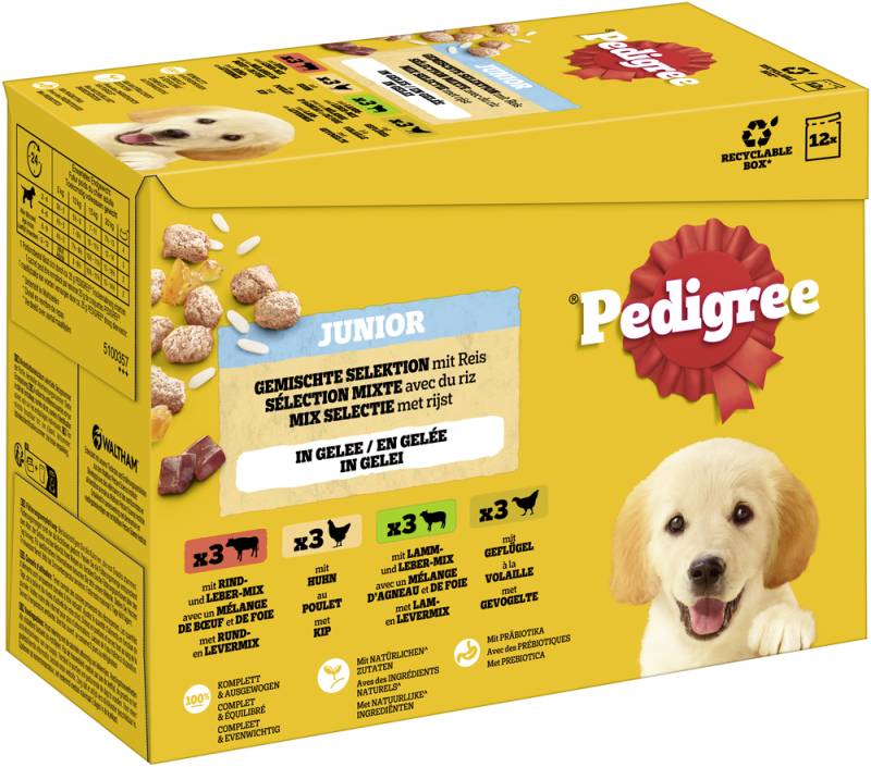 Pedigree Junior Frischebeutel Multipack - 96 x 100 g Gemischte Selektion in Gelee (4 Varietäten) von Pedigree