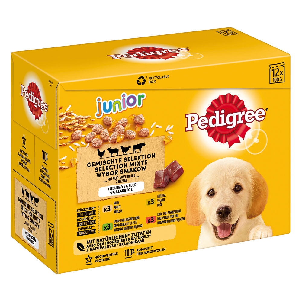 Pedigree Junior Frischebeutel Multipack Nassfutter für Hunde - 12 x 100 g von Pedigree