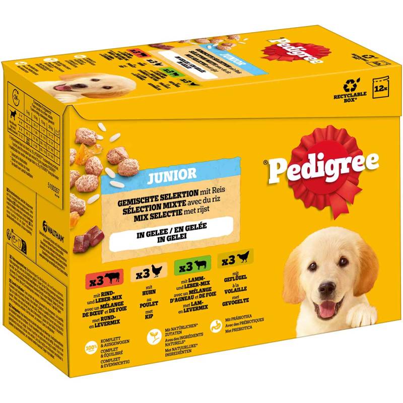 Pedigree Junior Gemischte Selektion in Gelee 24x100 g von Pedigree