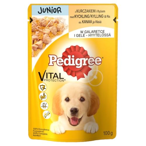 Mars Polska PEDIGREE Trockenfutter für Hunde, 100 g Junior Kura / 24 von PEDIGREE