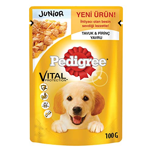 Mars Polska PEDIGREE Trockenfutter für Hunde, 100 g Junior Kura / 24 von PEDIGREE