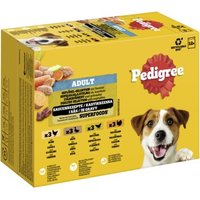 Pedigree Nassfutter Hund Adult, Multipack, Geflügel-Selektion, in Sauce 12x100 g von Pedigree