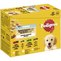 Pedigree Nassfutter Hund Junior, Multipack, Gemischte Selektion, in Gelee 12x100 g von Pedigree