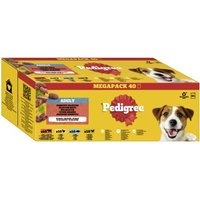 Pedigree Nassfutter Hund Adult, Multipack, Gemischte-Selektion, in Gelee 40x100 g von Pedigree