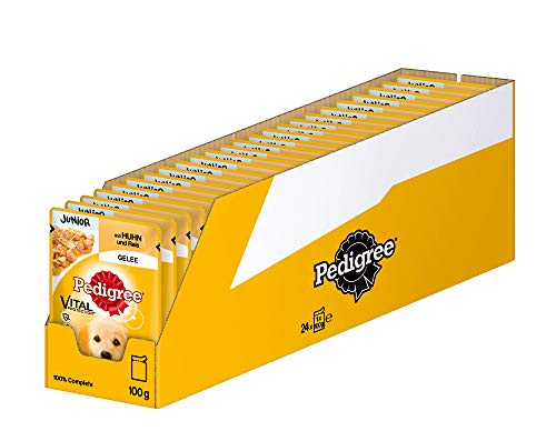 Pedigree Vital Protection Hundenassfutter für Welpen im Beutel – Hundefutter in Gelee mit Huhn & Reis – 24 x 100g Großpackung Pedigree Vital Protection Hundenassfutter für Welpen im Beutel – Hundefutter in Gelee mit Huhn & Reis – 24 x 100g Großpackung von Pedigree