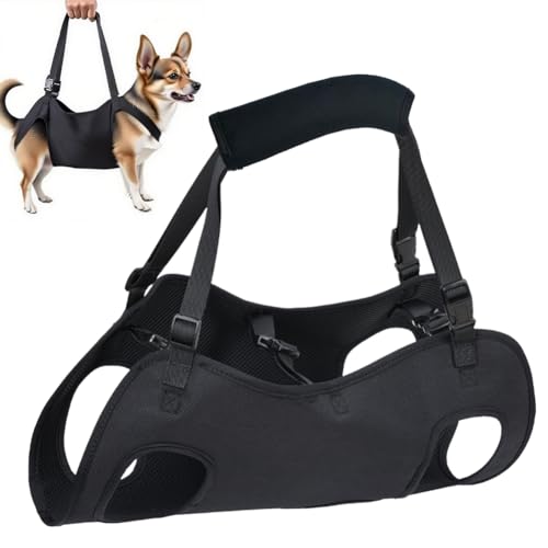 Hundehebegeschirr, Verstellbare Tragehilfe für Hunde, Hundetreppenhalterung,Hebegeschirr für Hundegeschirr für Hinterbeine, Sicherheitsgurt für Behinderte, Verletzte oder Ältere Hunde von Peelanmall