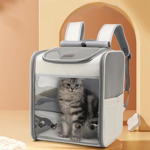 Haustiere Rucksack,Transporttasche für Hunde Katzen 6.5kg,Große Tragbare Katzenrucksack,Hunderucksack Transparent,Top Opening Reisen Airline Genehmigt,Mesh Haustiertragetasche Atmungsaktiv Haustiere Rucksack,Transporttasche für Hunde Katzen 6.5kg,Große Tragbare Katzenrucksack,Hunderucksack Transparent,Top Opening Reisen Airline Genehmigt,Mesh Haustiertragetasche Atmungsaktiv von Peiaw