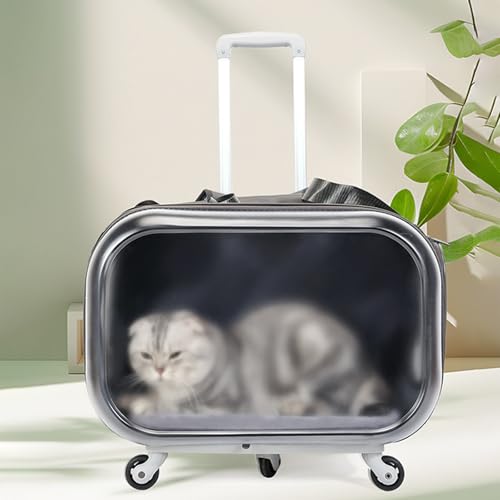 Hundetasche & Katzentasche,Tragbarer Haustier-Trolley-Koffer,Transparente Katzen- Faltbare Mobile Tragebox für Hunde & Katzen,Rollende Haustiertragetasche für Katzen,Grau Hundetasche & Katzentasche,Tragbarer Haustier-Trolley-Koffer,Transparente Katzen- Faltbare Mobile Tragebox für Hunde & Katzen,Rollende Haustiertragetasche für Katzen,Grau von Peiaw