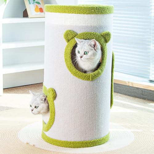 Katzenbett Zylinder Sisal-Kratzflächen,Bequemes Katzenversteck mit Ohr-Öffnungen,Weicher Stoff,Stabiler Aufbau,Ideal für Spiel & Schlaf,Große Katzenhaus für Indoor-Katzen (Weiß + Grün, Dreilagig) Katzenbett Zylinder Sisal-Kratzflächen,Bequemes Katzenversteck mit Ohr-Öffnungen,Weicher Stoff,Stabiler Aufbau,Ideal für Spiel & Schlaf,Große Katzenhaus für Indoor-Katzen (Weiß + Grün, Dreilagig) von Peiaw