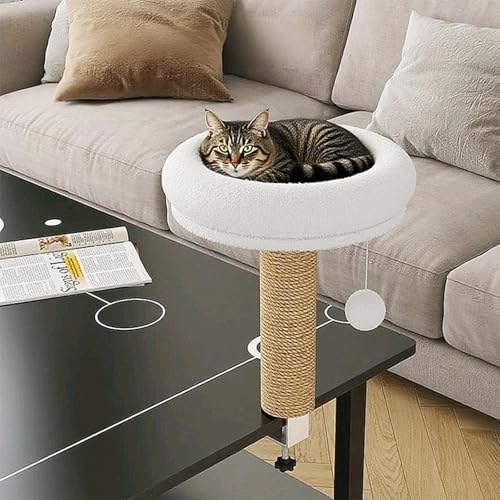 Katzenkratzbaum Katzenbett für Schreibtisch,Weiches Katzenliegeplatz mit Sisal-Kratzstab und Spielkugel,Klemmtisch-Design Katzenkorb zum Befestigen an Tisch,Komfortables Katzennest (35 * 35 * 40CM) von Peiaw