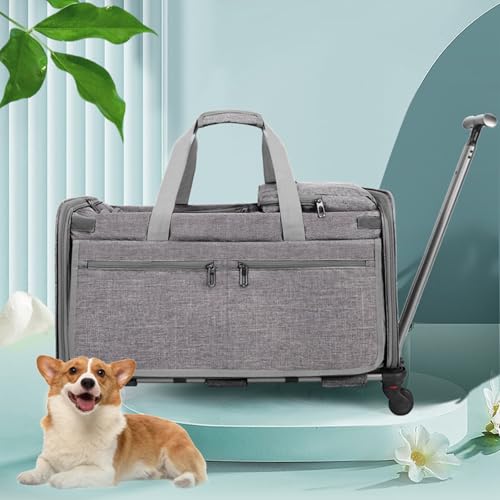 Katzentasche Transporttasche,Transportbox Katze Leicht,Transportbox Mobil,Transporttasche mit Teleskopgriff,Klappbare Reisebox für kleine & Mittelgroße Haustiere,Bis 20 kg,Grau Katzentasche Transporttasche,Transportbox Katze Leicht,Transportbox Mobil,Transporttasche mit Teleskopgriff,Klappbare Reisebox für kleine & Mittelgroße Haustiere,Bis 20 kg,Grau von Peiaw