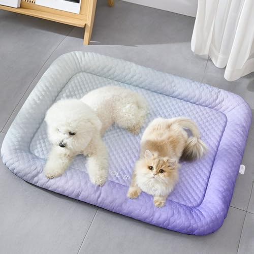 Peiaw Cooling Dog Bed,Kühlendes Sofabett,maschinenwaschbar Kühlendes Hundebett,4-Schicht-Kühlstruktur,6 cm Halsstütze,geräumig für Hunde & Katzen,ideal für Sommer & Jahreszeitüberquerung (XL) Peiaw Cooling Dog Bed,Kühlendes Sofabett,maschinenwaschbar Kühlendes Hundebett,4-Schicht-Kühlstruktur,6 cm Halsstütze,geräumig für Hunde & Katzen,ideal für Sommer & Jahreszeitüberquerung (XL) von Peiaw
