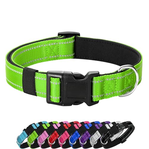 PenSeepet Reflektierendes Hundehalsband, gepolstert mit weichem Neopren, atmungsaktiv, Schnellverschluss, Basic Hundehalsbänder für Welpen, kleine Hunde, Mädchen, Grün von PenSeepet