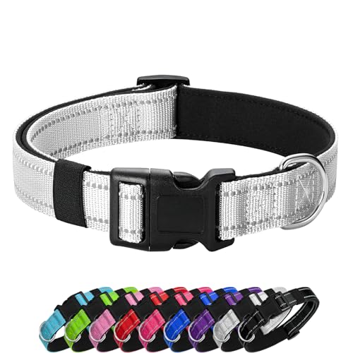 PenSeepet Reflektierendes Hundehalsband, gepolstert mit weichem Neopren, atmungsaktiv, Schnellverschluss, Basic-Hundehalsbänder für Welpen, kleine Hunde, Mädchen, Jungen, Silber von PenSeepet