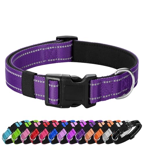 PenSeepet Reflektierendes Hundehalsband, gepolstert mit weichem Neopren, atmungsaktiv, Schnellverschluss, für mittelgroße und große Hunde, Violett von PenSeepet