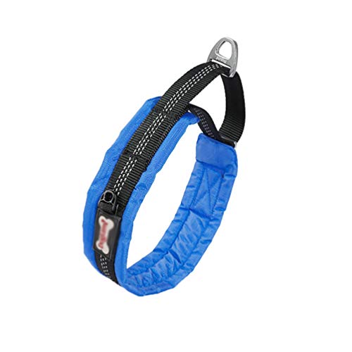 PengGengA Hundehalsband Verstellbare Weiches Nylon Hunde Halsband Atmungsaktives Reflektierend Halsband Geeignet für Katzen und Hunde (Blau, S: Länge 33-43 cm) von PengGengA