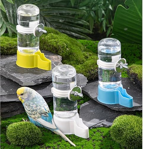 PengLAI Vogelfutterstation, 2 Stück, automatische Futterspender für Papageien, Wasserspender, Futterspender, Samenspender, Papageienkäfig-Zubehör, zufällige Farbe PengLAI Vogelfutterstation, 2 Stück, automatische Futterspender für Papageien, Wasserspender, Futterspender, Samenspender, Papageienkäfig-Zubehör, zufällige Farbe von PengLAI