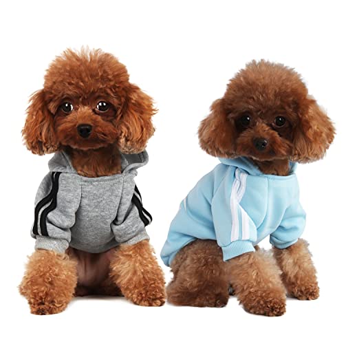 Mode Hund Hoodie Hundekleidung Streetwear Reine Baumwolle Sweatshirt Hund Katze Welpe klein mittelgroß Mode Outfit (Grau/Hellblau, XS) von PenghaiYunfei