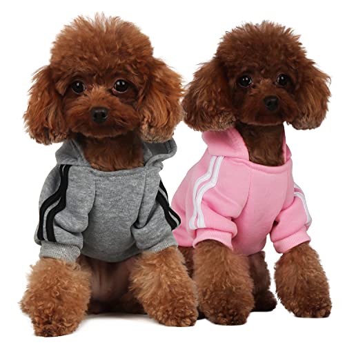 Mode Hund Hoodie Hundekleidung Streetwear Reine Baumwolle Sweatshirt Hund Katze Welpe klein mittelgroß Mode Outfit (Grau/Rosa, M) von PenghaiYunfei