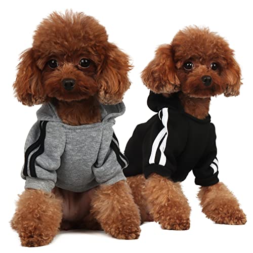 Mode Hund Hoodie Hundekleidung Streetwear Reine Baumwolle Sweatshirt Hund Katze Welpe klein mittelgroß Mode Outfit (Grau/schwarz, S) von PenghaiYunfei