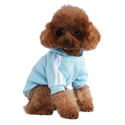 Mode Hund Hoodie Hundekleidung Streetwear Reine Baumwolle Sweatshirt Hund Katze Welpe klein mittelgroß Mode Outfit (Hellblau, XL) von PenghaiYunfei