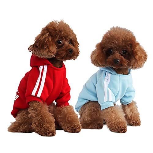 Mode Hund Hoodie Hundekleidung Streetwear Reine Baumwolle Sweatshirt Hund Katze Welpe klein mittelgroß Mode Outfit (Hellblau/Rot, XS) von PenghaiYunfei