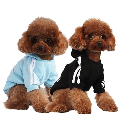 Mode Hund Hoodie Hundekleidung Streetwear Reine Baumwolle Sweatshirt Hund Katze Welpe klein mittelgroß Mode Outfit (Schwarz/Hellblau, XL) von PenghaiYunfei