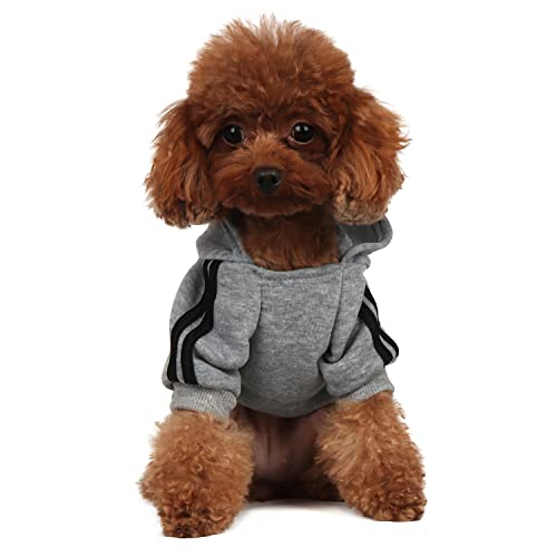 Mode Hund Hoodie Hundekleidung Streetwear Reine Baumwolle Sweatshirt Hund Katze Welpe klein mittelgroß Mode Outfit (grau, L) von PenghaiYunfei