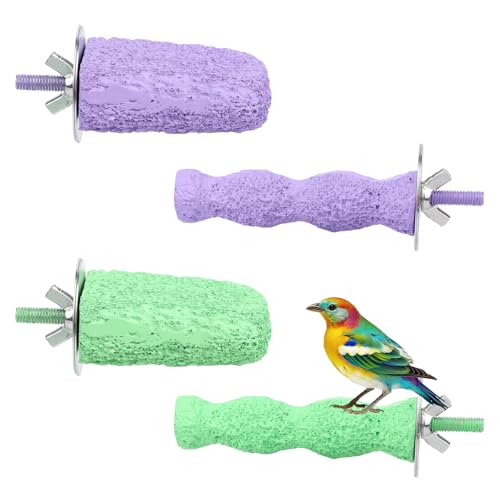 4stk Anti-Rutsch Vogel Schnabel Schleifsteine, Waschbar Harz Vogel Schnabel Trimmer Niedlich Vogelkäfigzubehör für Papageien Wellensittiche Sittiche Nymphensittiche (Lila, Grün) von Penitue