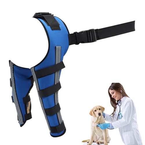 Penlimly Hundebeinschiene,Einstellbare Orthese Zur Gelenkstabilisierung - Hinterlauf Bandage Für Hunde - Zur Wiederherstellung Nach Training Outdoor Schwäche Fixierung Mobilität von Penlimly
