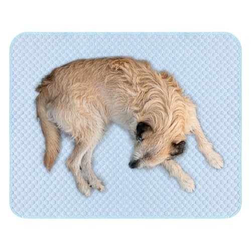 Penlimly Hundekühlmatte | Kühlmatte für Welpen | Tragbare Decke Zubehör Für Welpen Und Haustiere Haushalt Innenbereich Penlimly Hundekühlmatte | Kühlmatte für Welpen | Tragbare Decke Zubehör Für Welpen Und Haustiere Haushalt Innenbereich von Penlimly