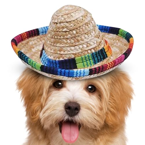 Penlimly Mini Sombrero | Geflochtene Kleine Sombrero Hütchen,Kopfband Breitkrempe Deko Kostüm Für Kinder Haustier Geburtstag Feiern | Kinder Geburtstagsparty Haustier von Penlimly