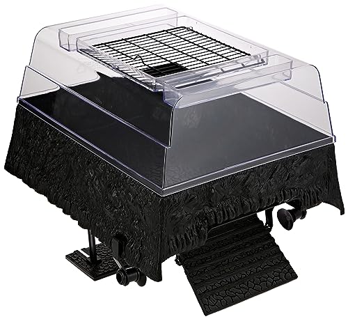 Penn-Plax, dekorativer Aufbau und Plattform zum Sonnenbaden für Schildkröten-Aquarien, 35,6 cm breit Penn-Plax, dekorativer Aufbau und Plattform zum Sonnenbaden für Schildkröten-Aquarien, 35,6 cm breit von Penn-Plax