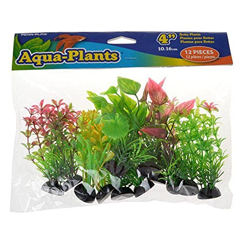 Penn-Plax Aqua-Pflanze, natürlich, 10,2 cm von Penn-Plax