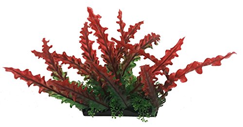 Penn-Plax Aqua-Scaping Pflanze, groß, Rot, 5 Stück von Penn-Plax