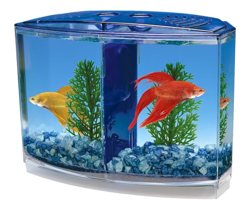 Penn-Plax Aquarium Doppel Betta für Aquarien 20 cm von Penn-Plax