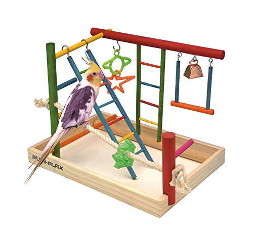 Penn-Plax Bird Life Aktivitätszentrum, ideal für Nymphensittiche, Sittiche, Wellensittiche, große Größe Penn-Plax Bird Life Aktivitätszentrum, ideal für Nymphensittiche, Sittiche, Wellensittiche, große Größe von Penn-Plax